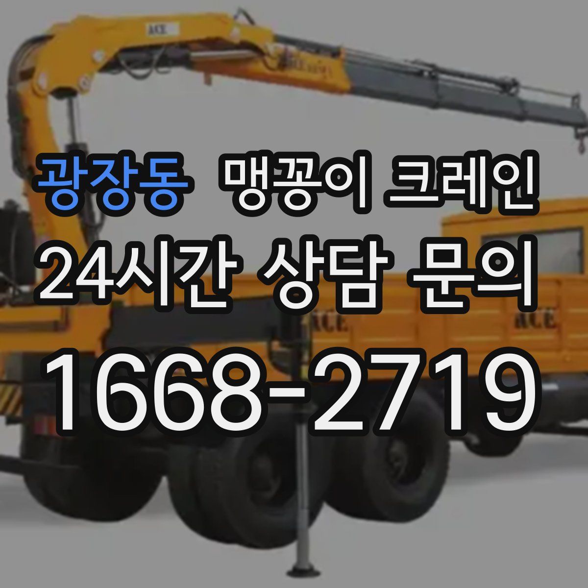 광장동 맹꽁이 크레인