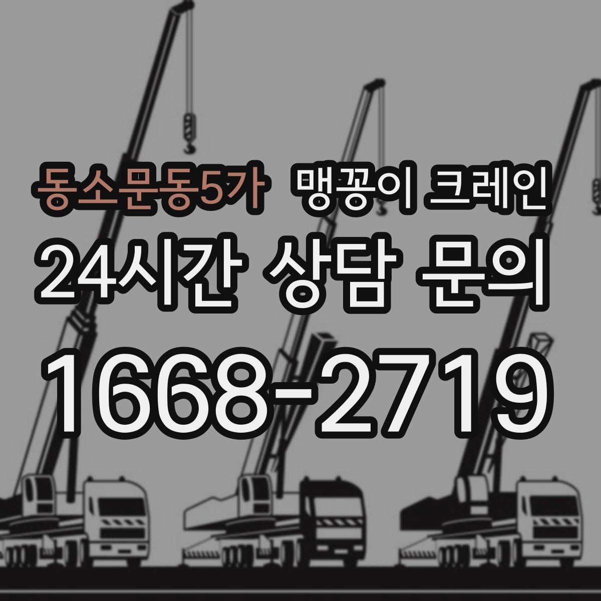동소문동5가 맹꽁이 크레인
