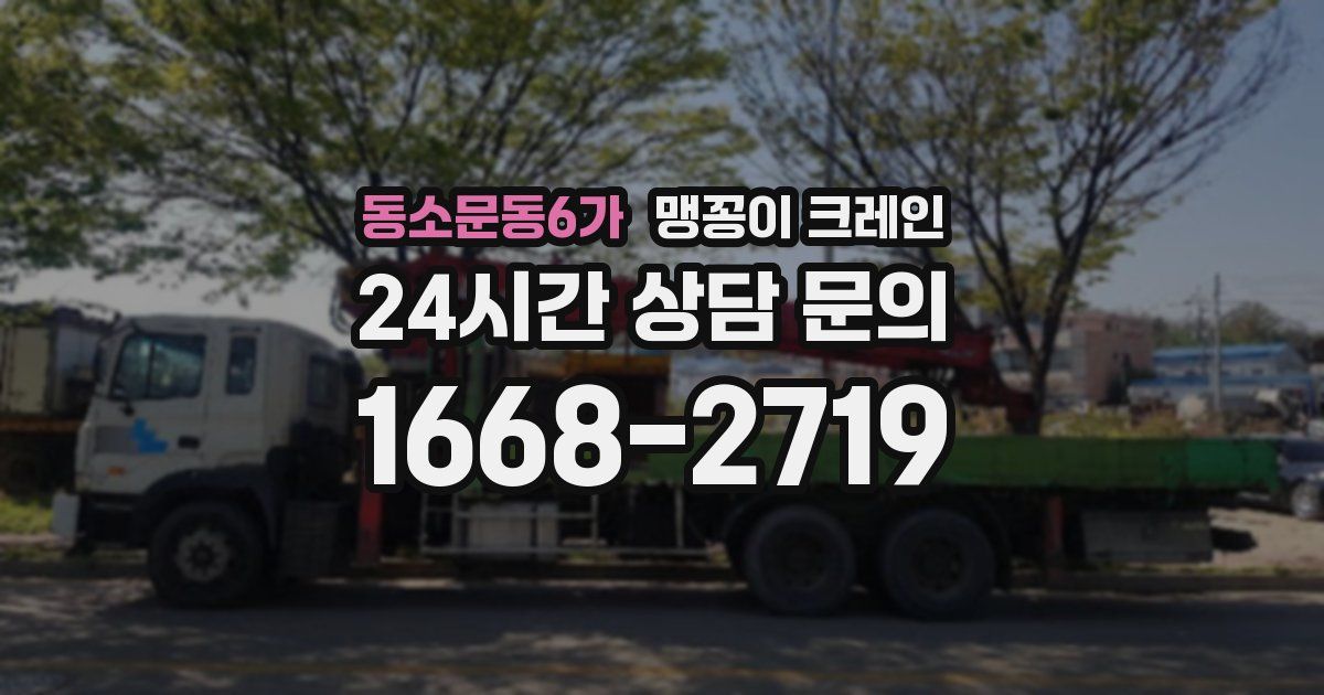동소문동6가 맹꽁이 크레인