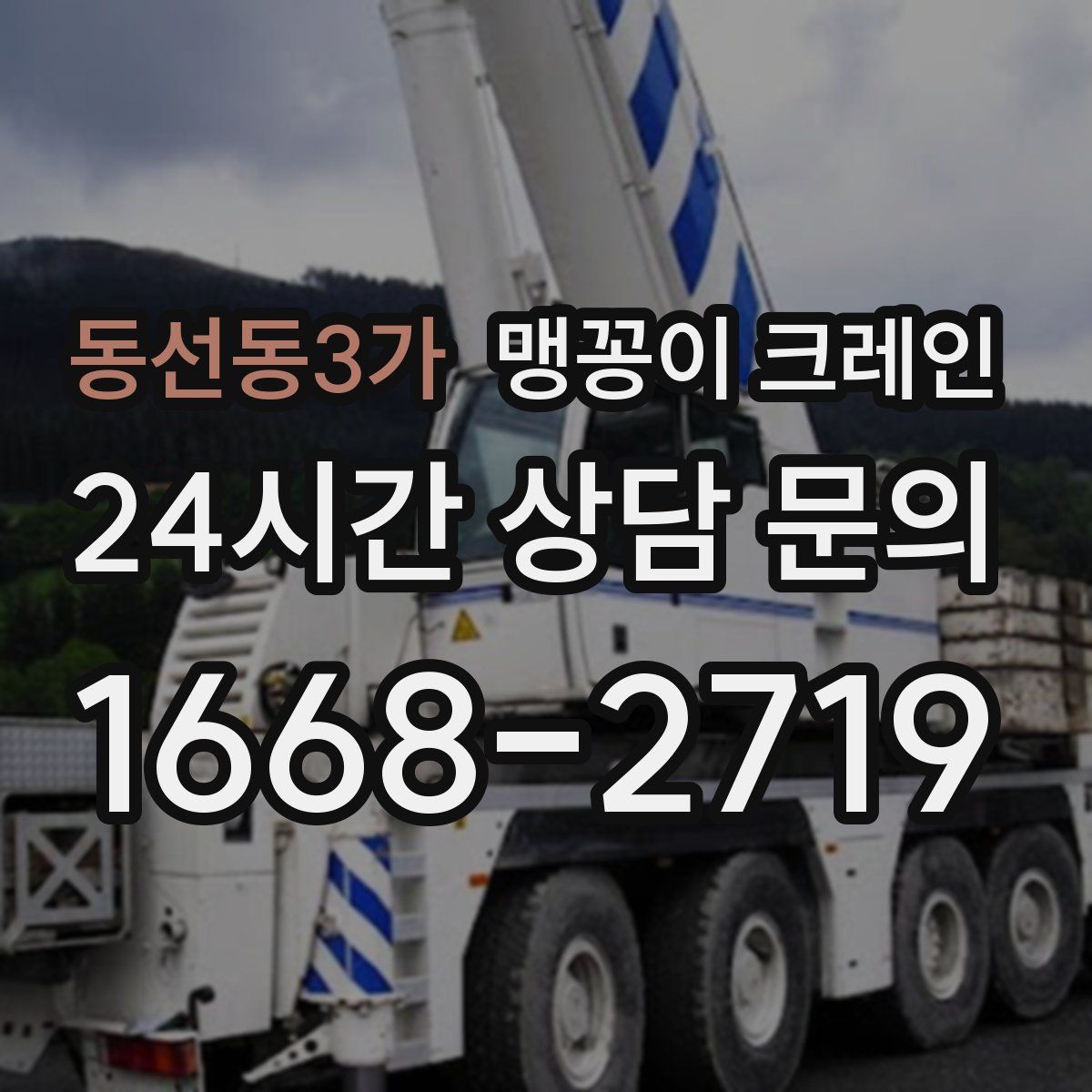 동선동3가 맹꽁이 크레인