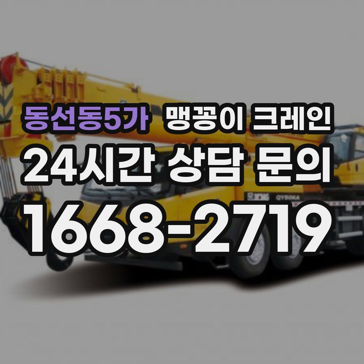 동선동5가 맹꽁이 크레인