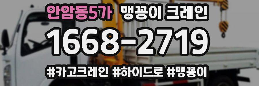 안암동5가 맹꽁이 크레인