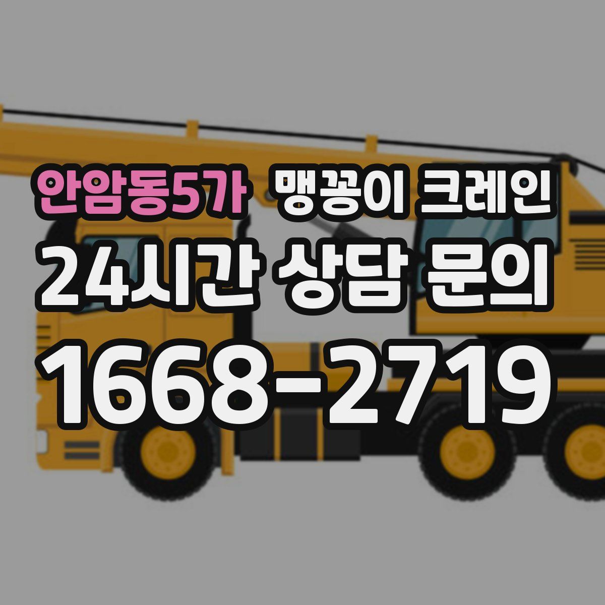 안암동5가 맹꽁이 크레인