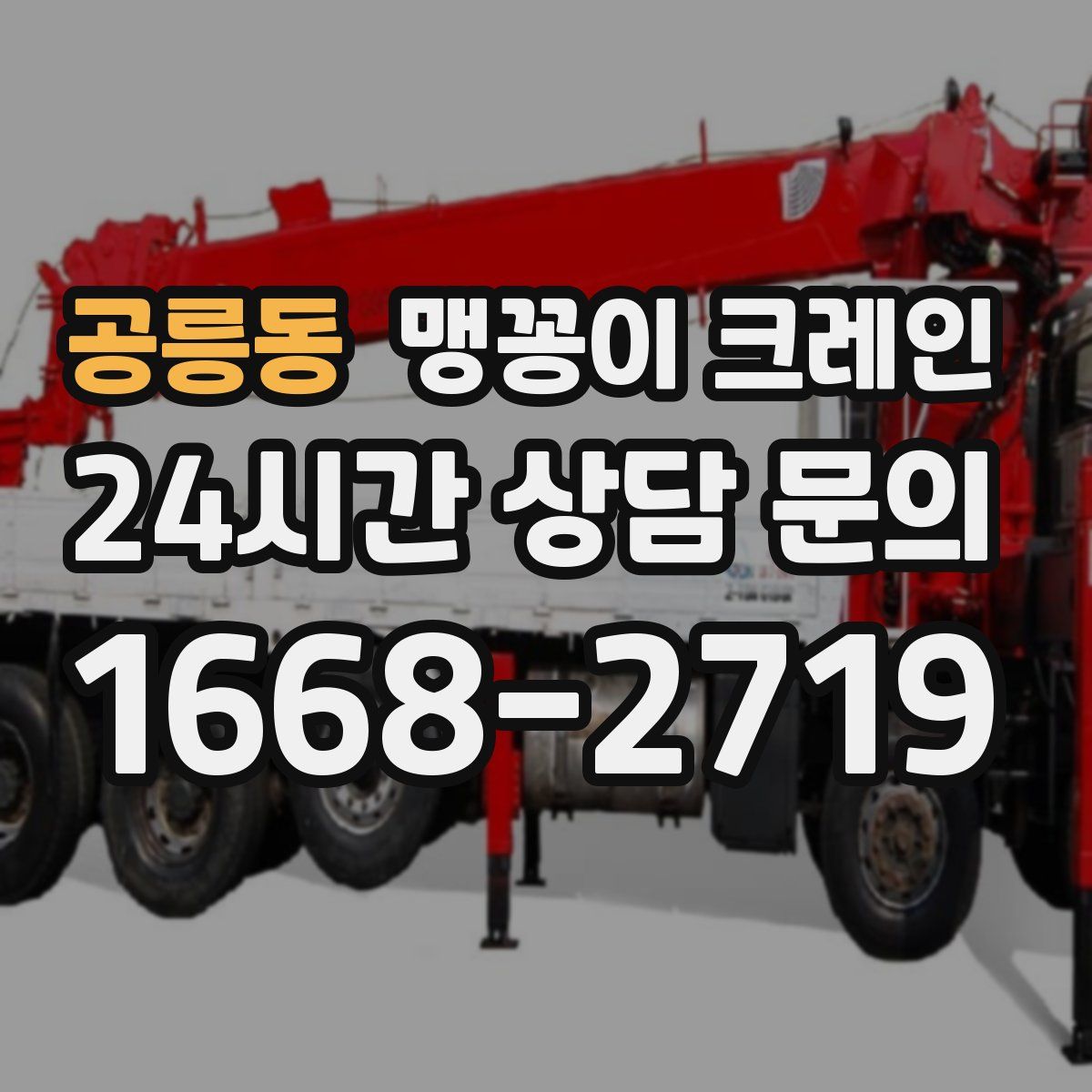 공릉동 맹꽁이 크레인