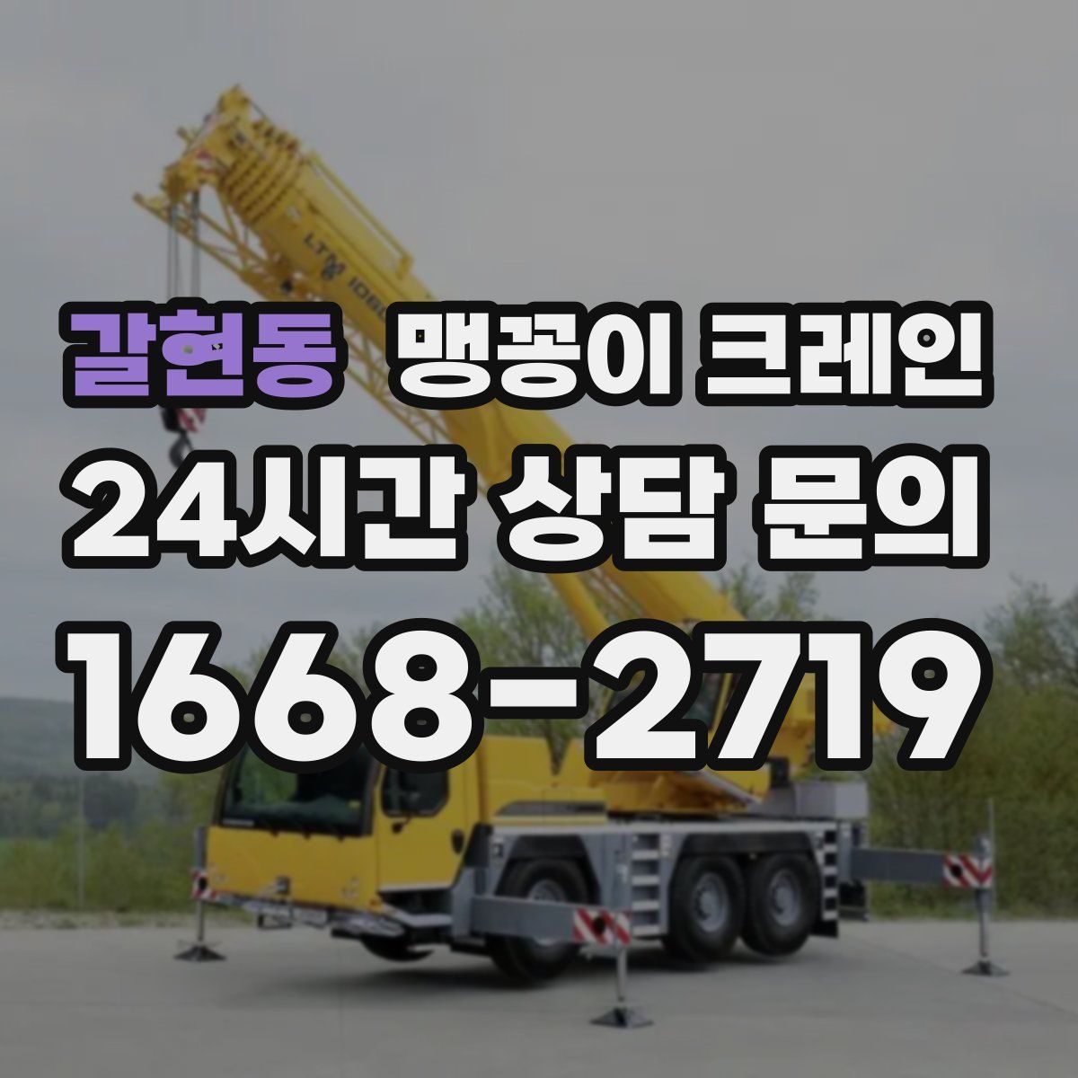 갈현동 맹꽁이 크레인