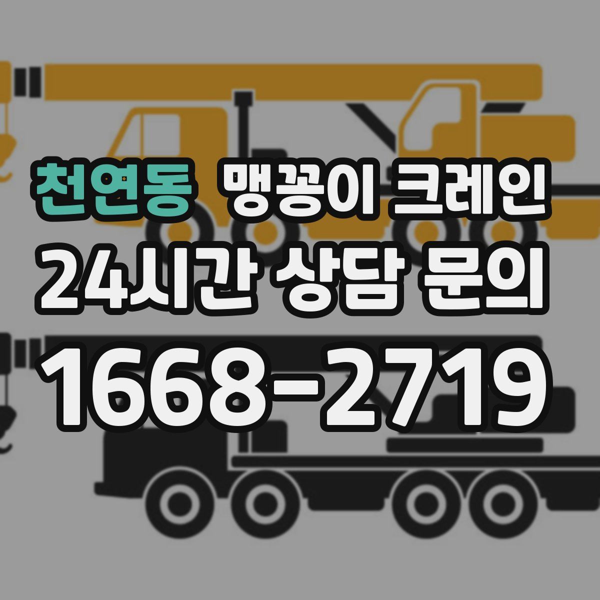 천연동 맹꽁이 크레인