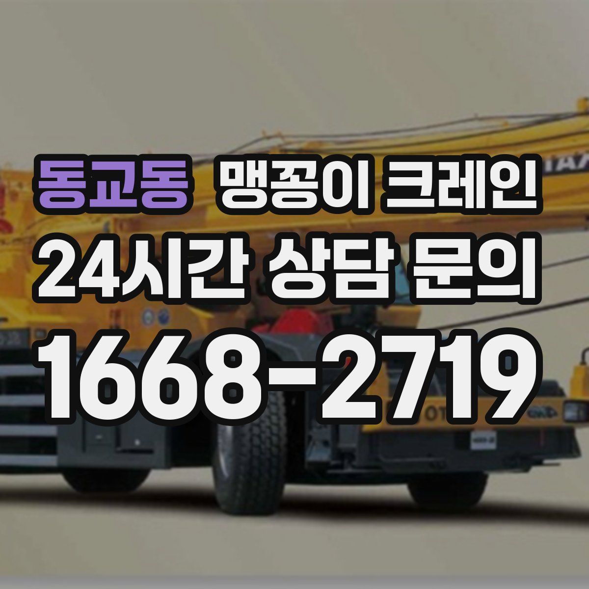 동교동 맹꽁이 크레인