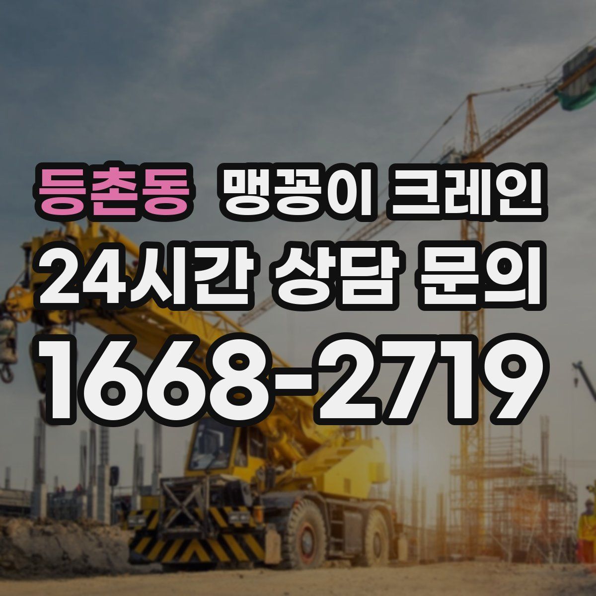 등촌동 맹꽁이 크레인