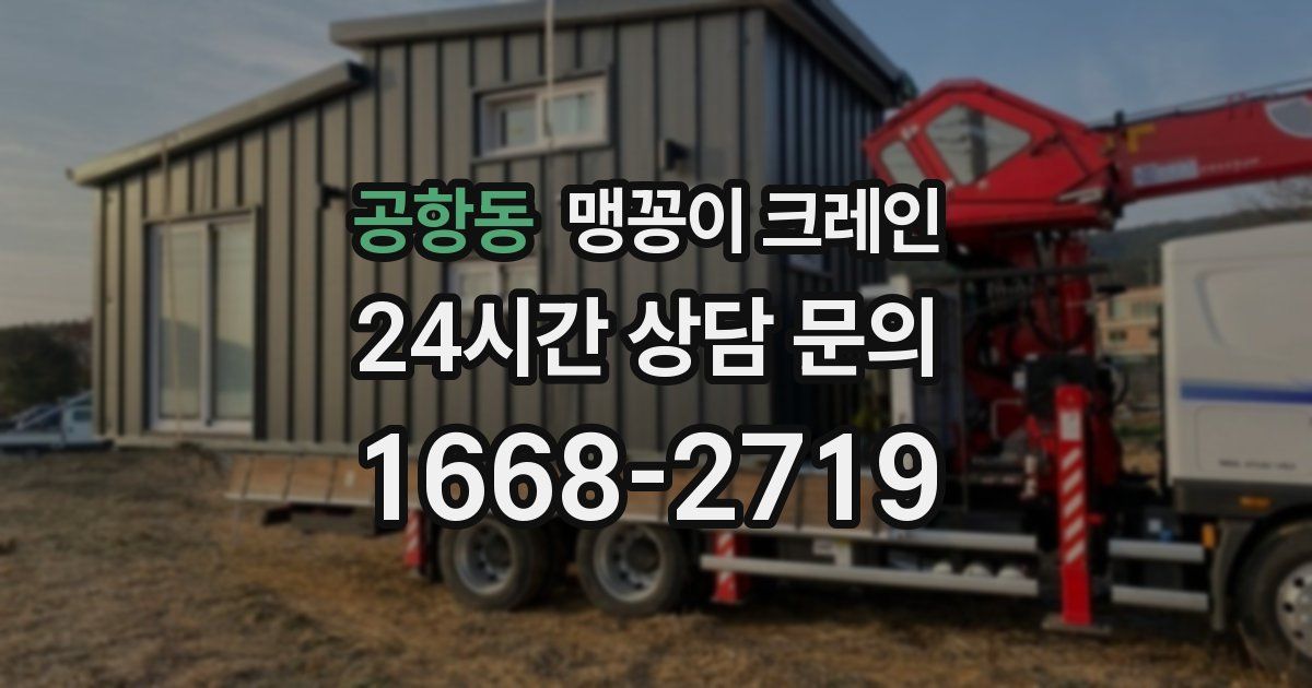 공항동 맹꽁이 크레인