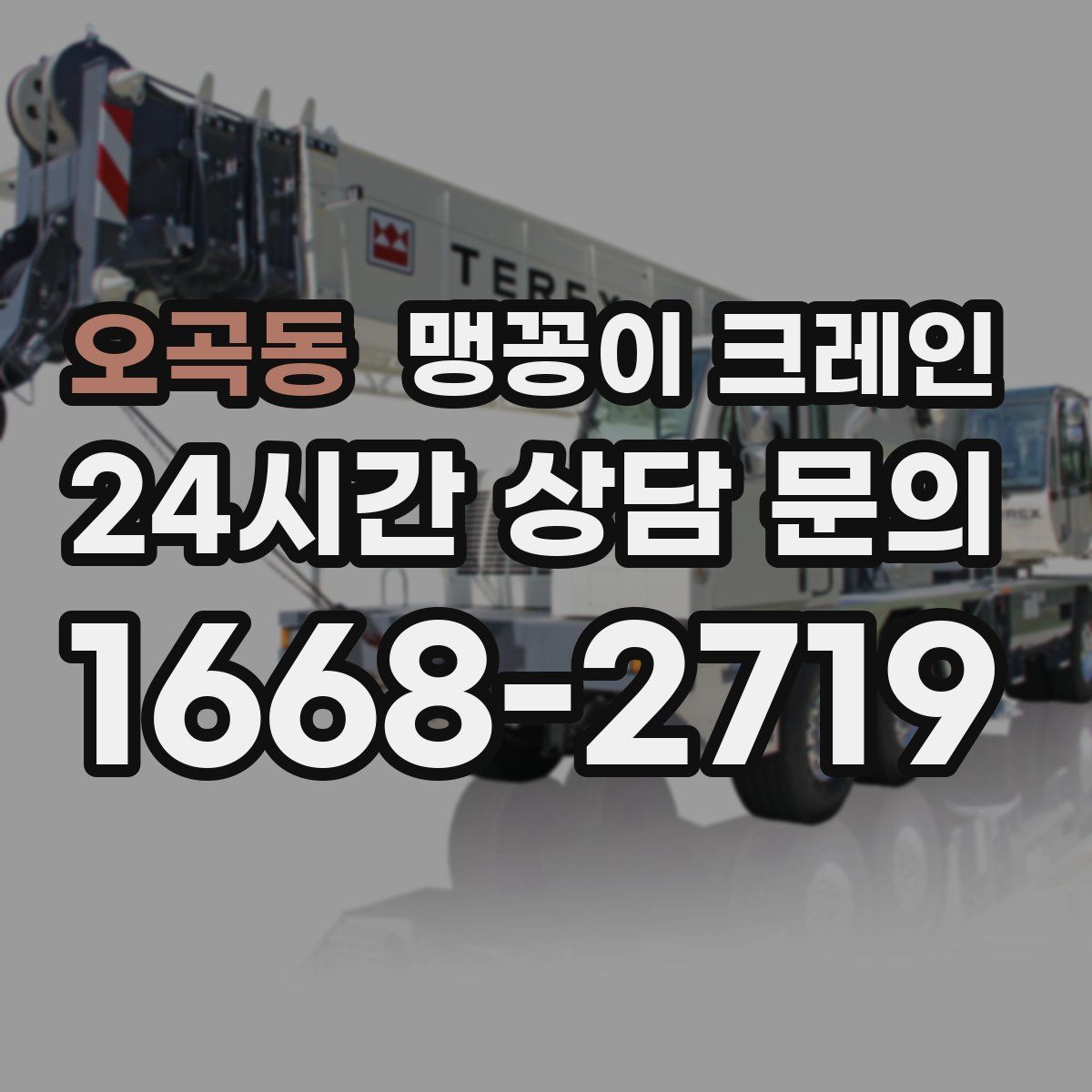 오곡동 맹꽁이 크레인