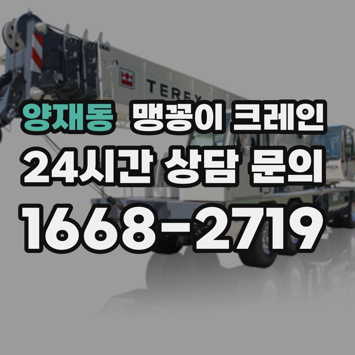 양재동 맹꽁이 크레인
