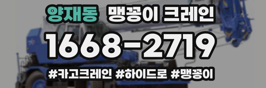 양재동 맹꽁이 크레인