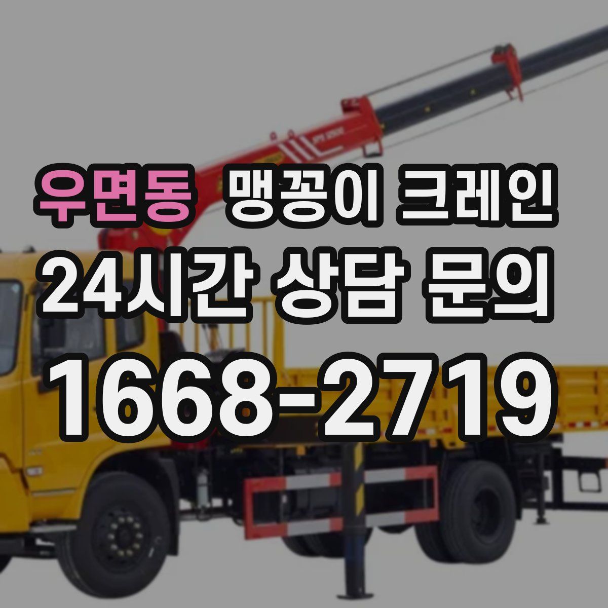 우면동 맹꽁이 크레인
