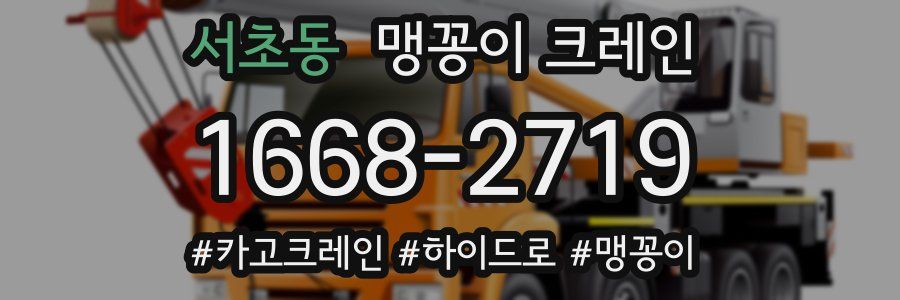 서초동 맹꽁이 크레인