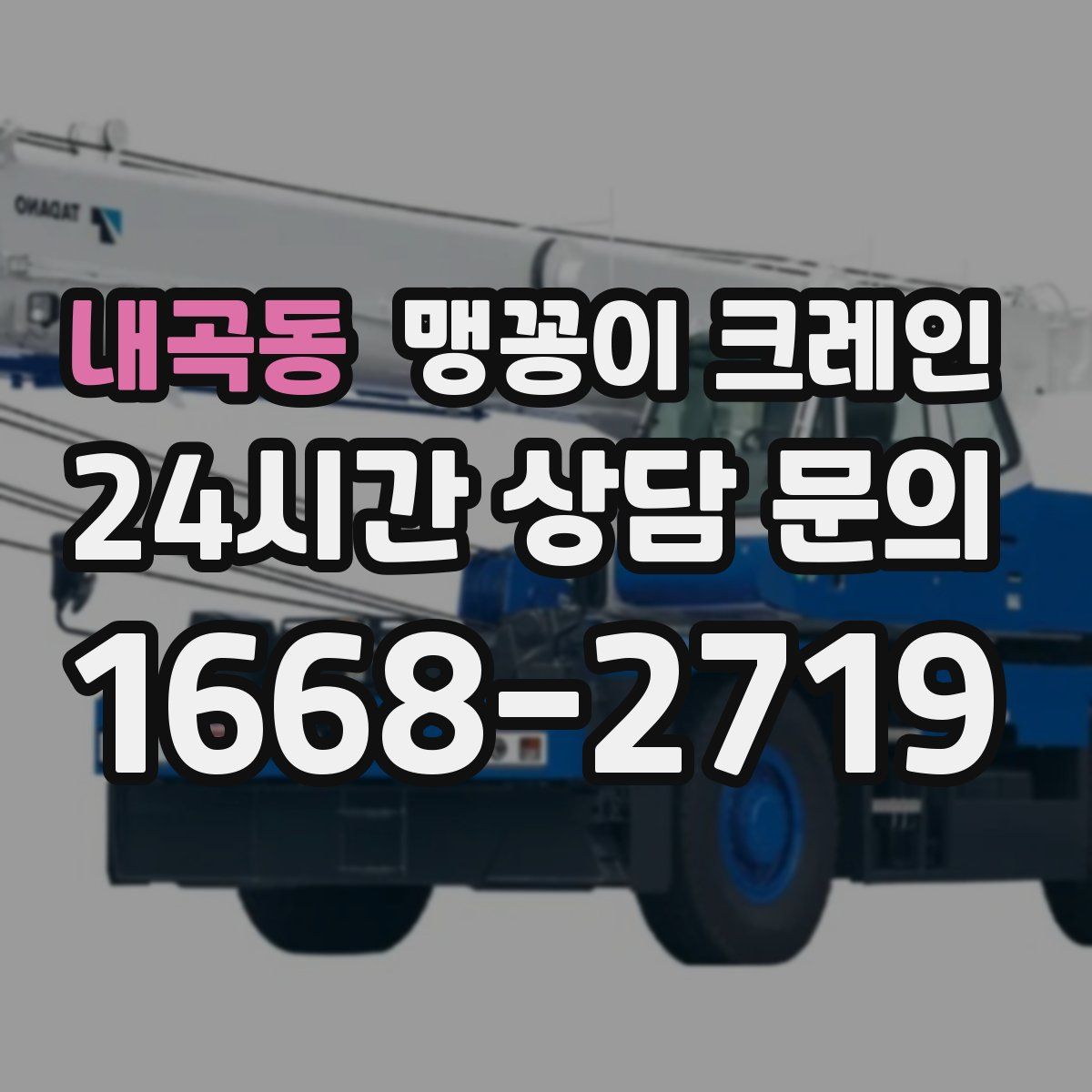 내곡동 맹꽁이 크레인