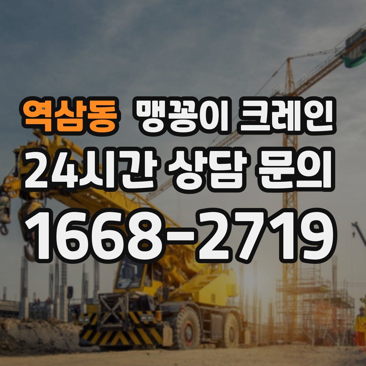 역삼동 맹꽁이 크레인