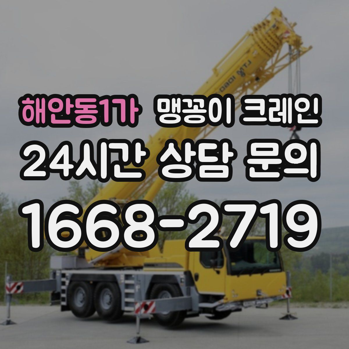 해안동1가 맹꽁이 크레인
