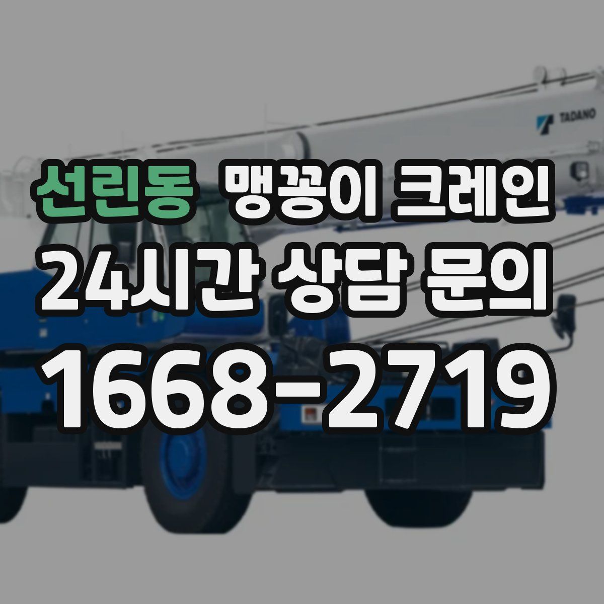 선린동 맹꽁이 크레인
