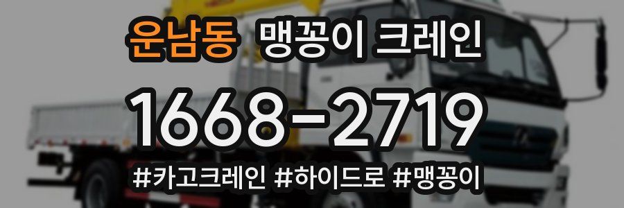 운남동 맹꽁이 크레인