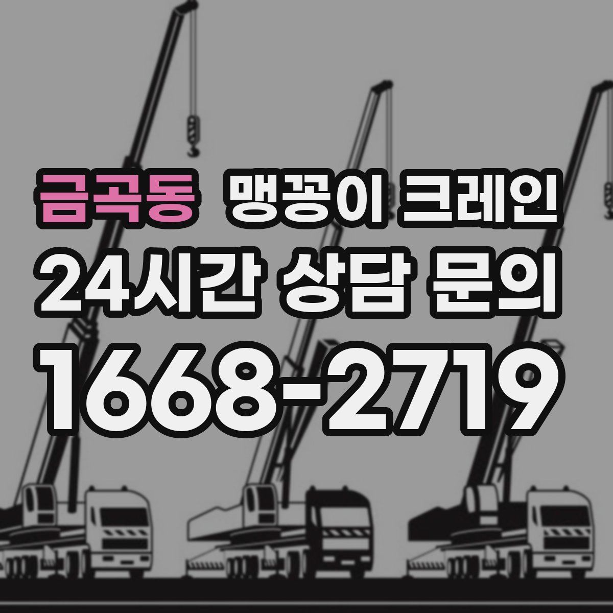 금곡동 맹꽁이 크레인