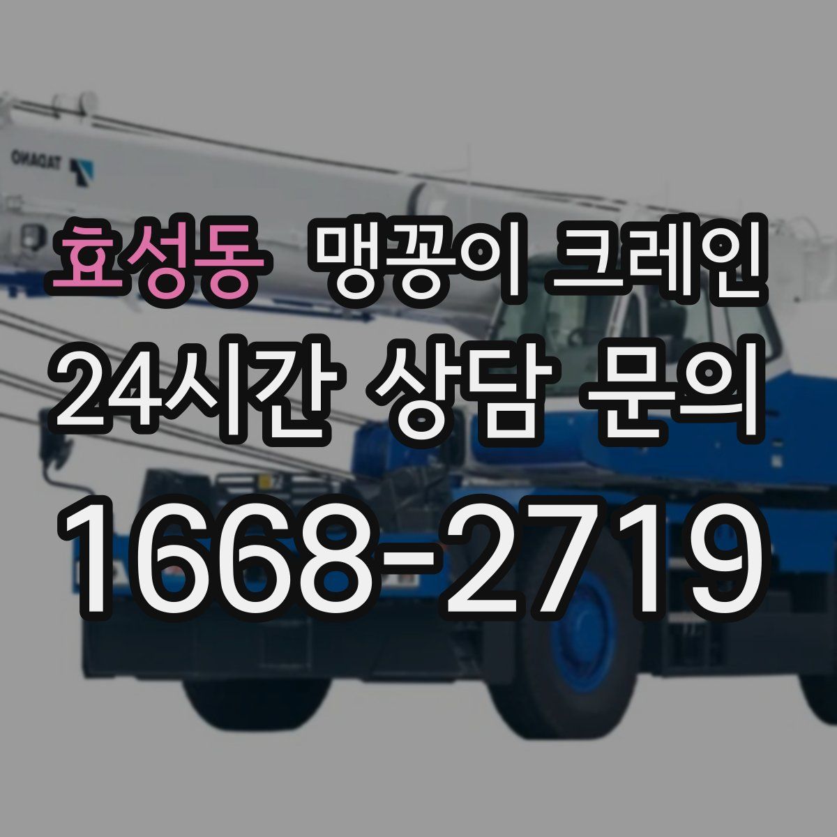 효성동 맹꽁이 크레인