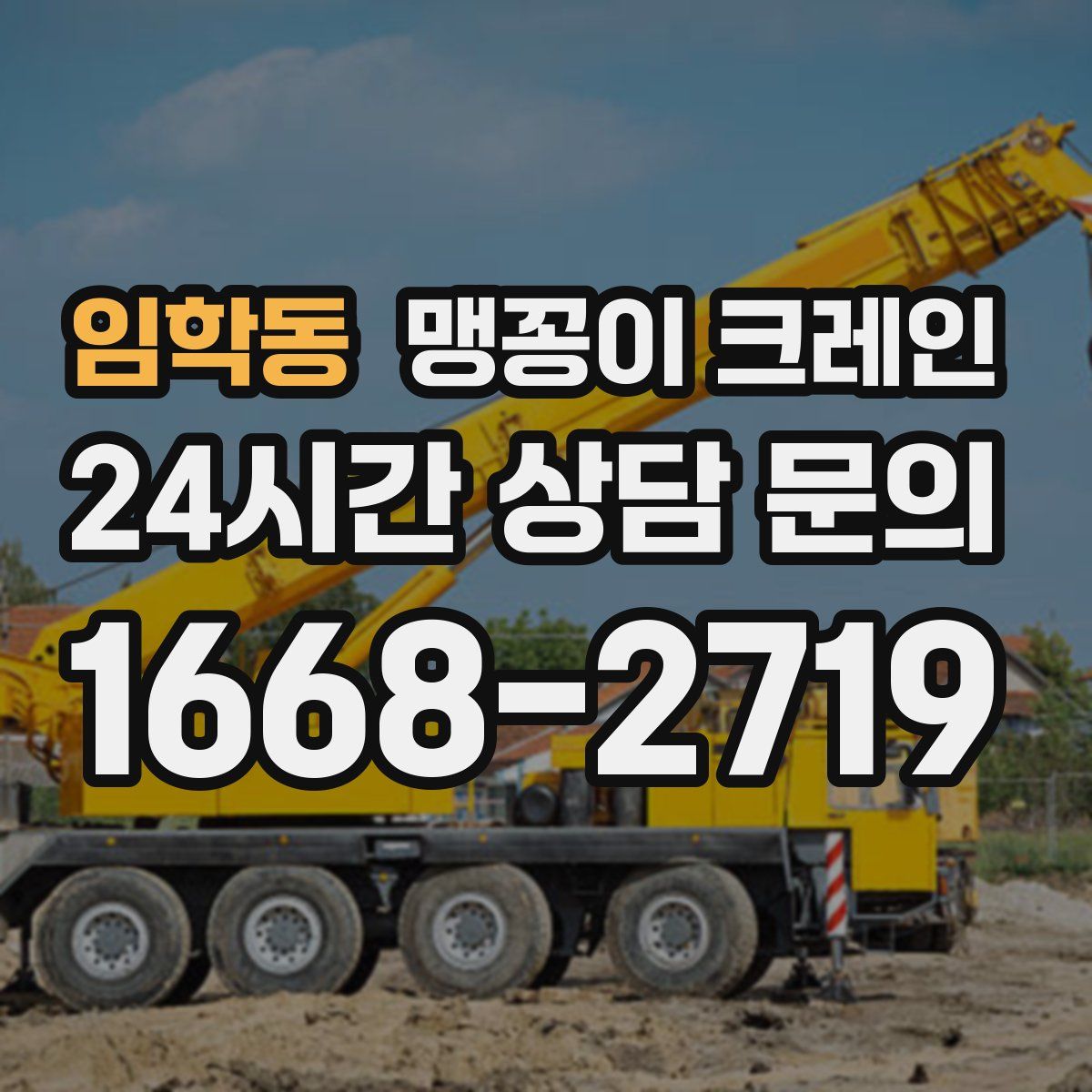 임학동 맹꽁이 크레인