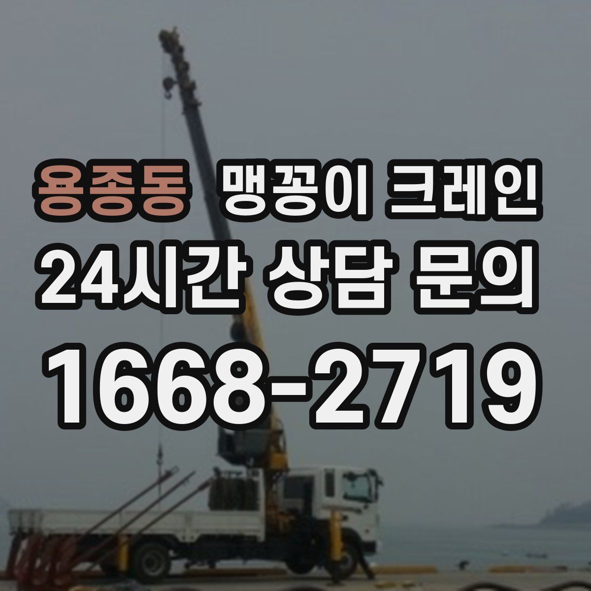 용종동 맹꽁이 크레인