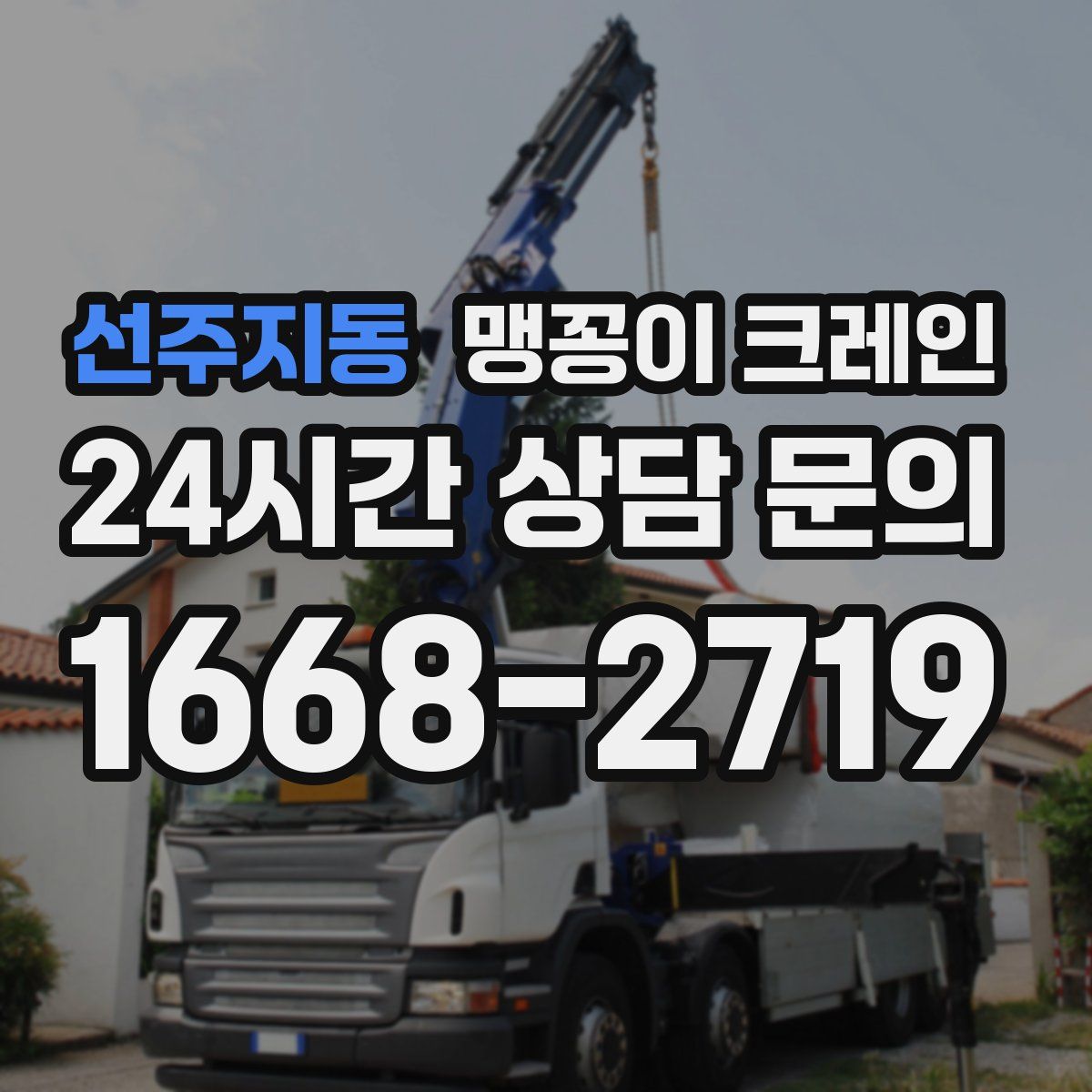 선주지동 맹꽁이 크레인