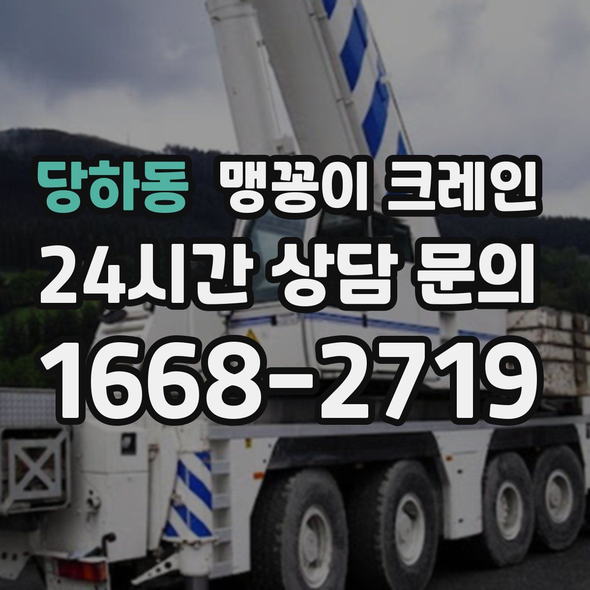 당하동 맹꽁이 크레인