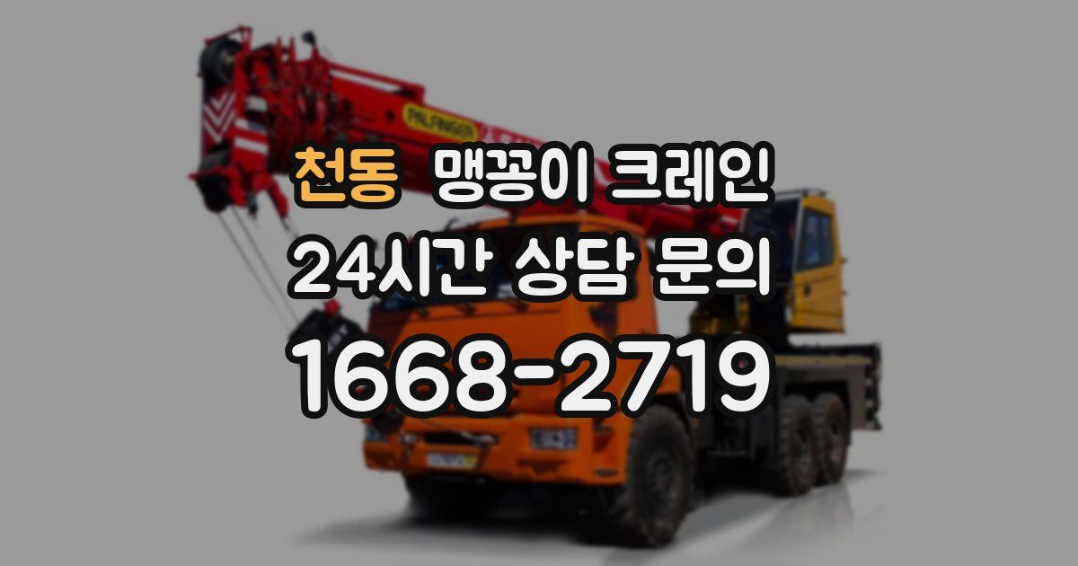 천동 맹꽁이 크레인