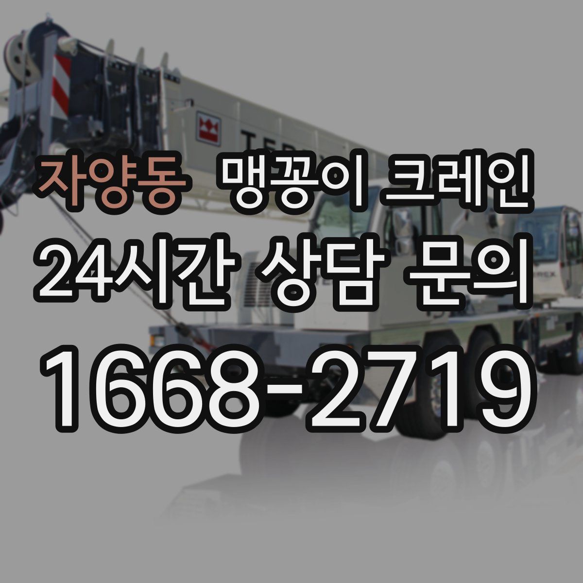 자양동 맹꽁이 크레인