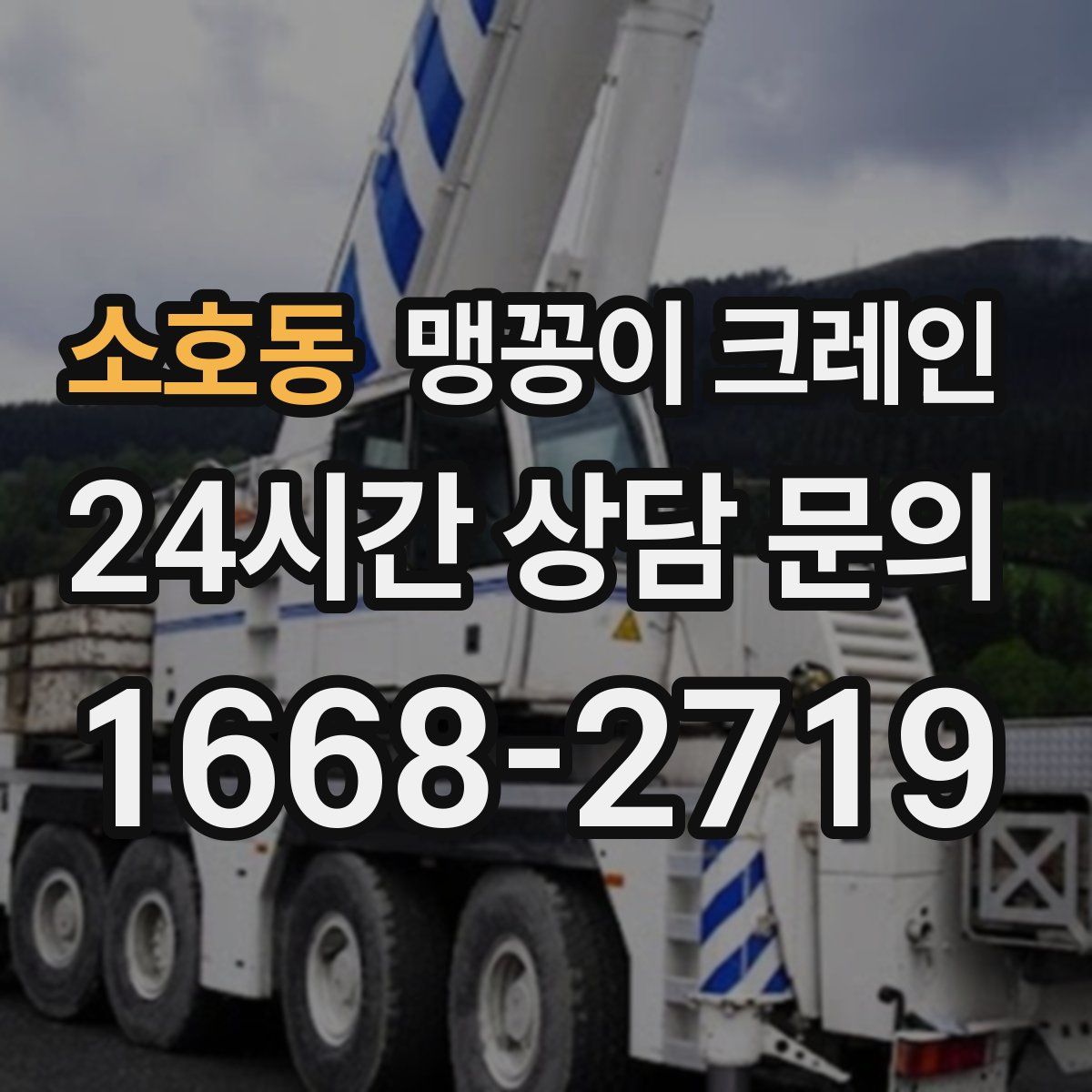 소호동 맹꽁이 크레인