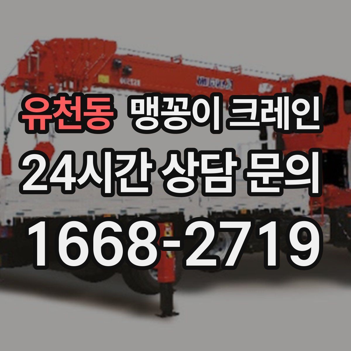 유천동 맹꽁이 크레인 오늘 필요한 분을 위한 준비 가이드