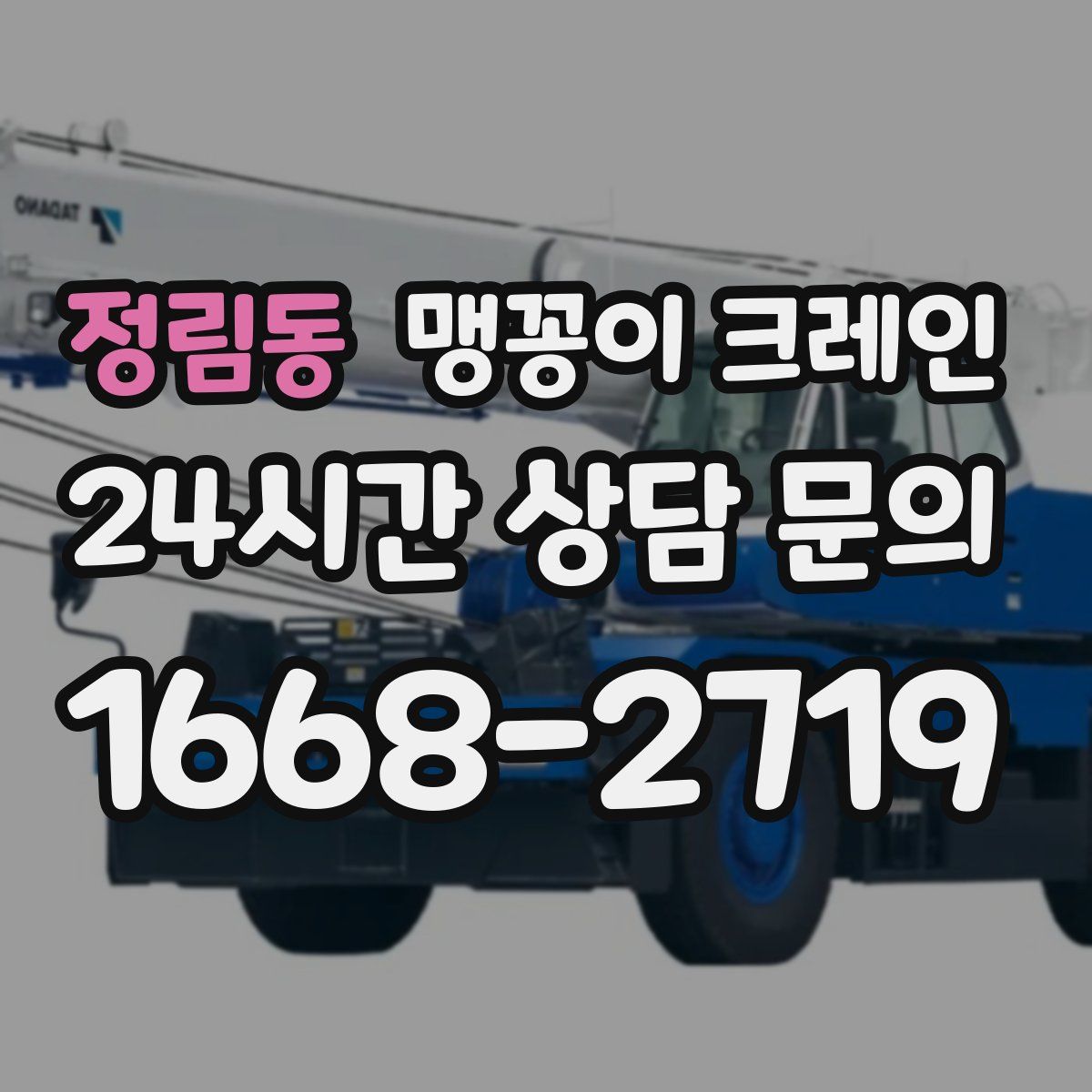 정림동 맹꽁이 크레인
