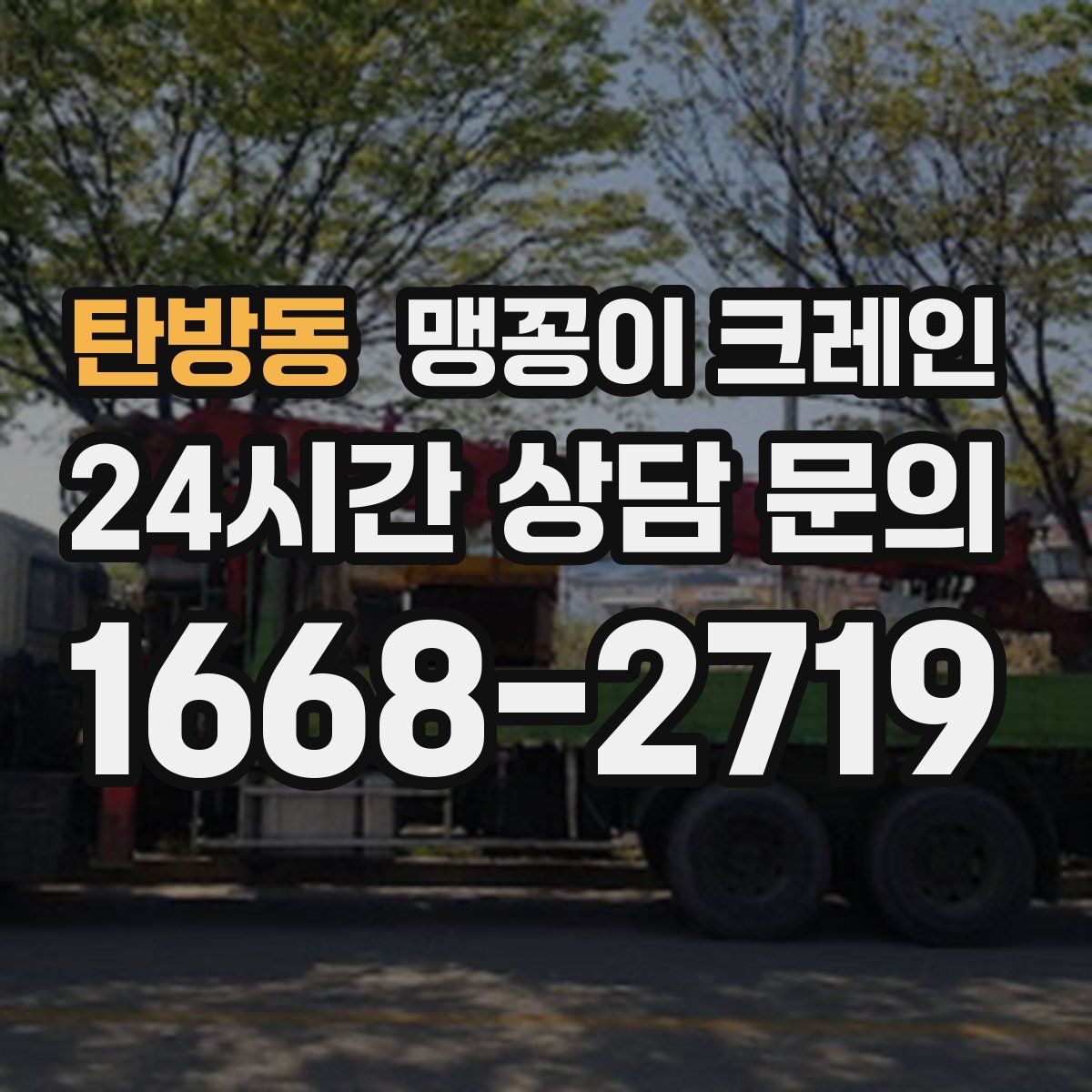 탄방동 맹꽁이 크레인