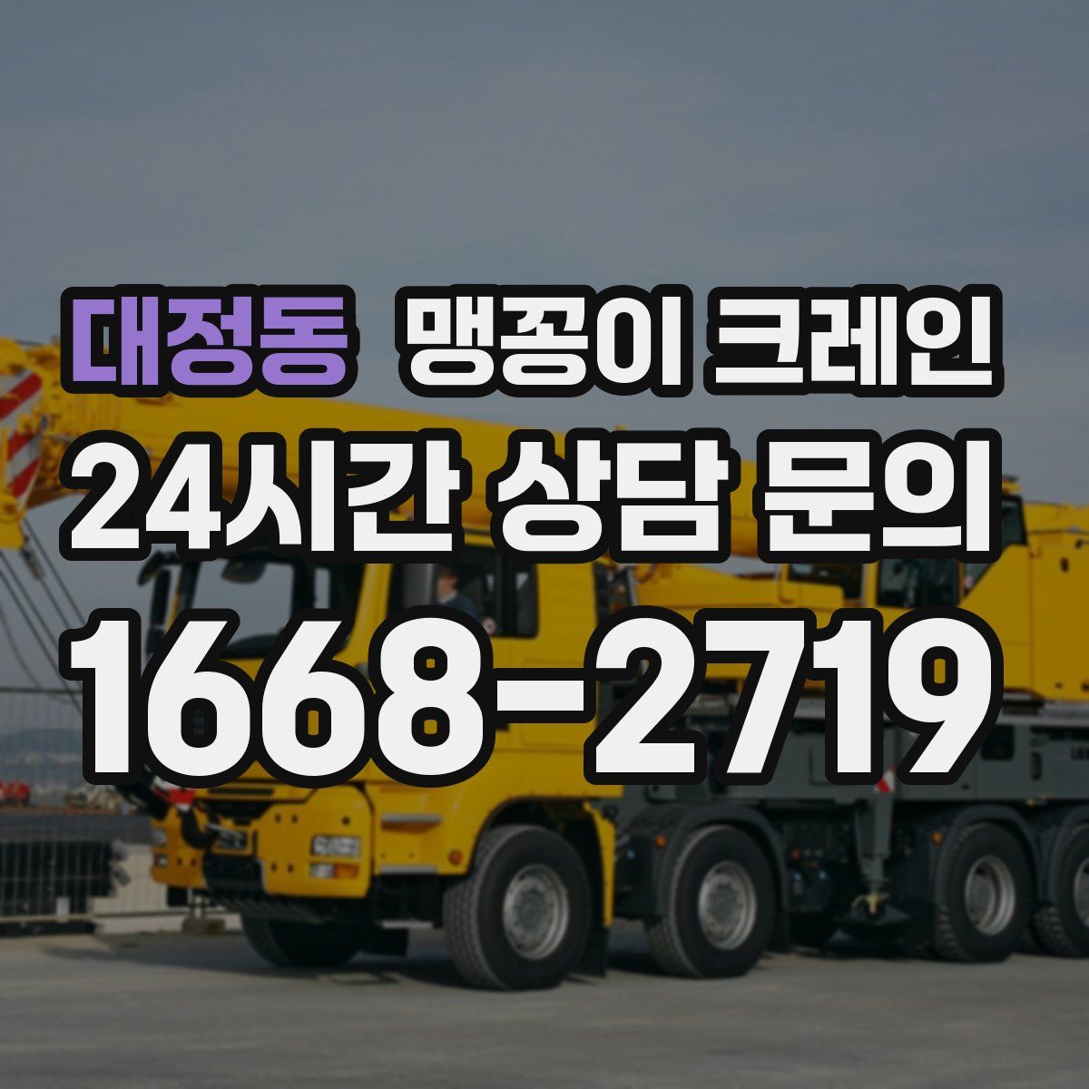 대정동 맹꽁이 크레인