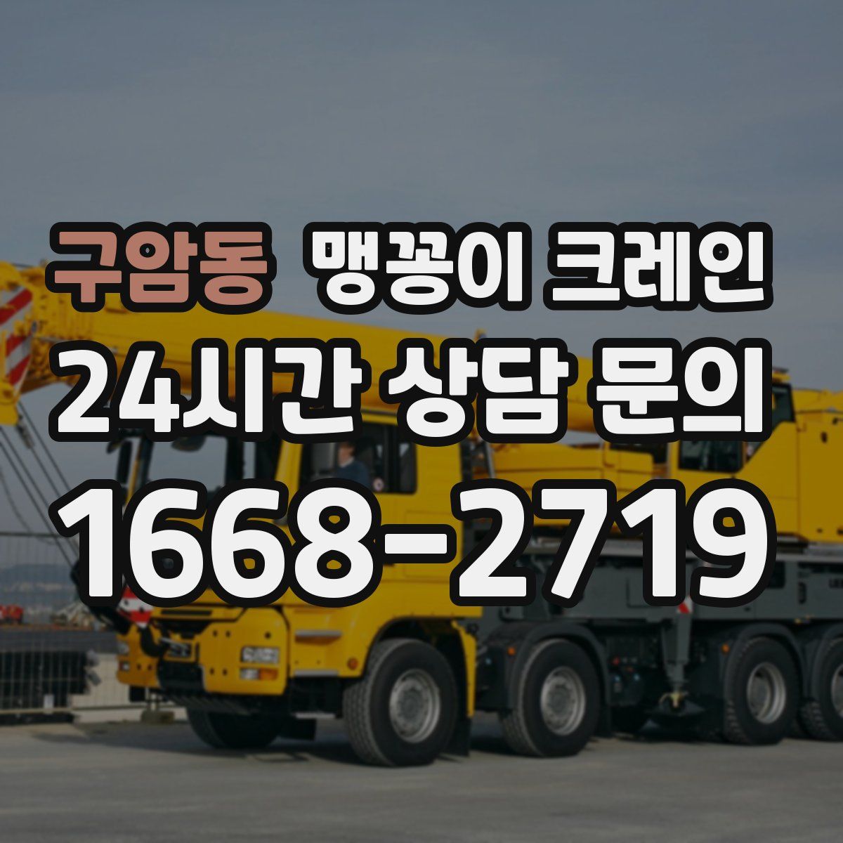 구암동 맹꽁이 크레인