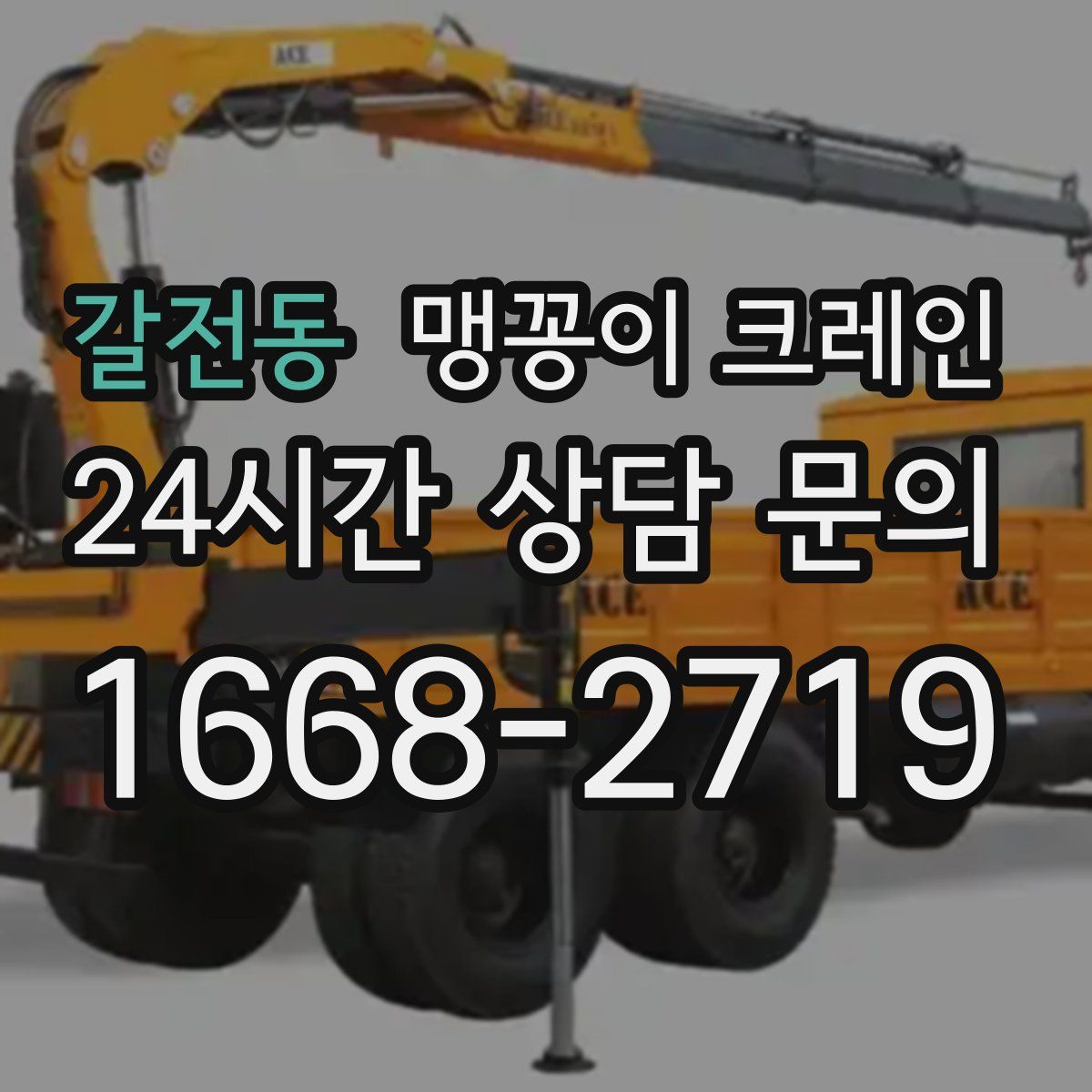 갈전동 맹꽁이 크레인
