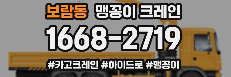 보람동 맹꽁이 크레인