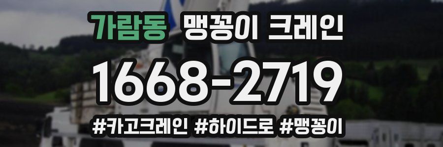 가람동 맹꽁이 크레인