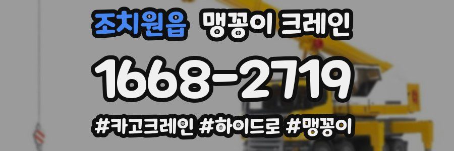 조치원읍 맹꽁이 크레인