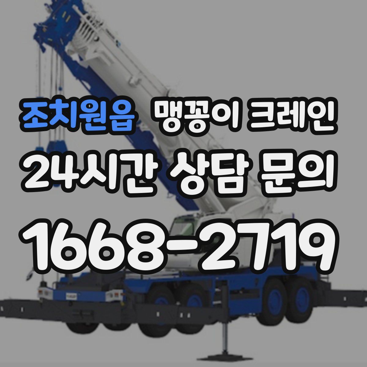 조치원읍 맹꽁이 크레인