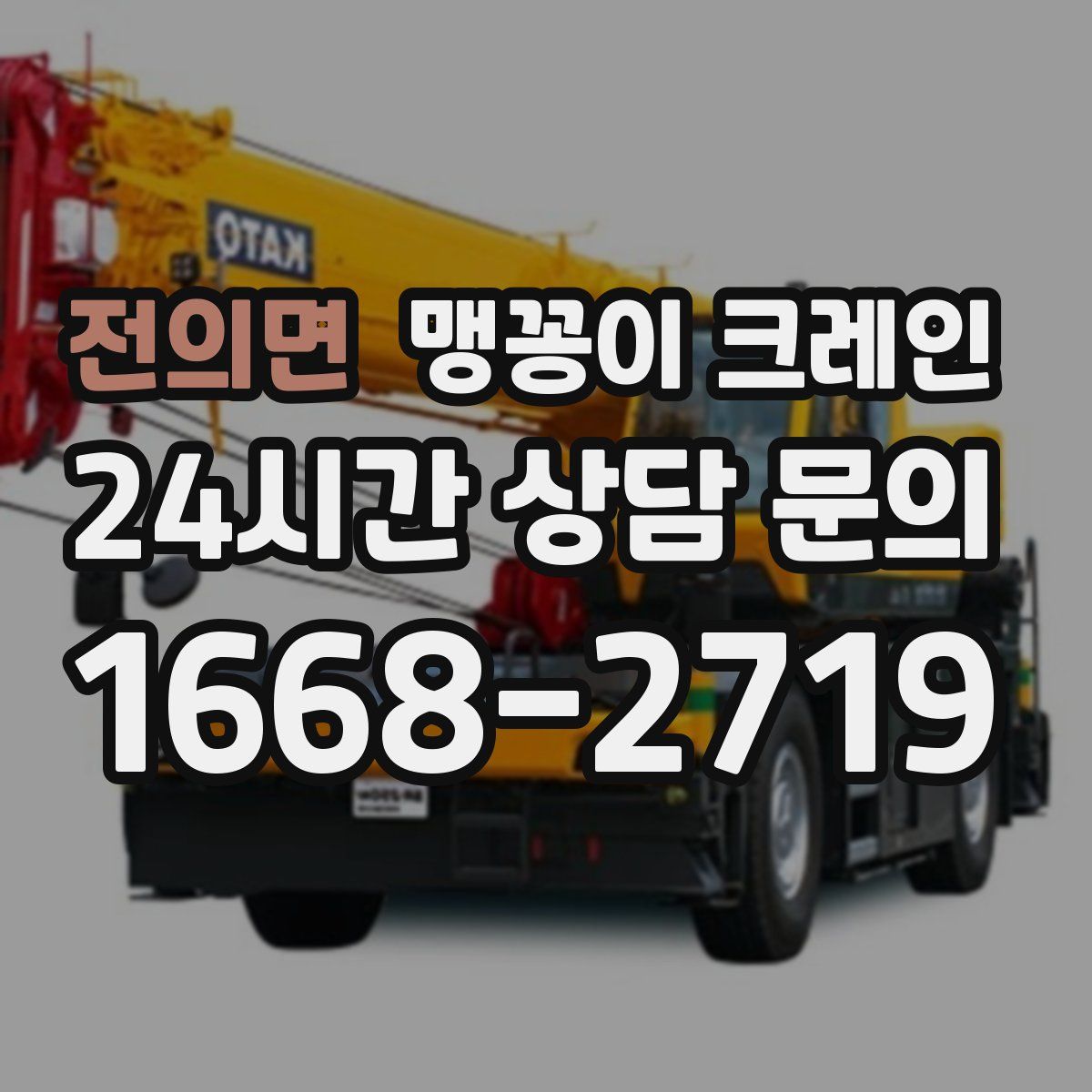 전의면 맹꽁이 크레인