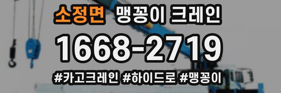 소정면 맹꽁이 크레인