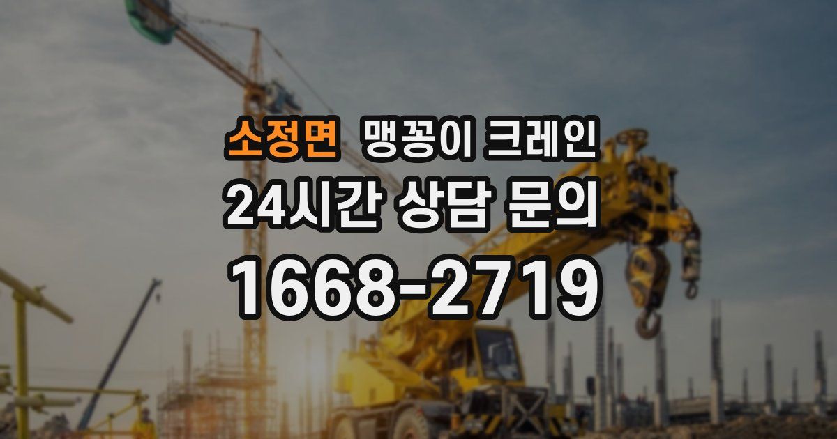 소정면 맹꽁이 크레인