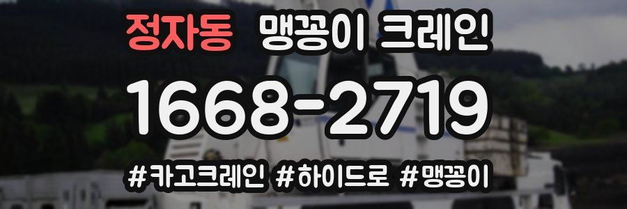 정자동 맹꽁이 크레인