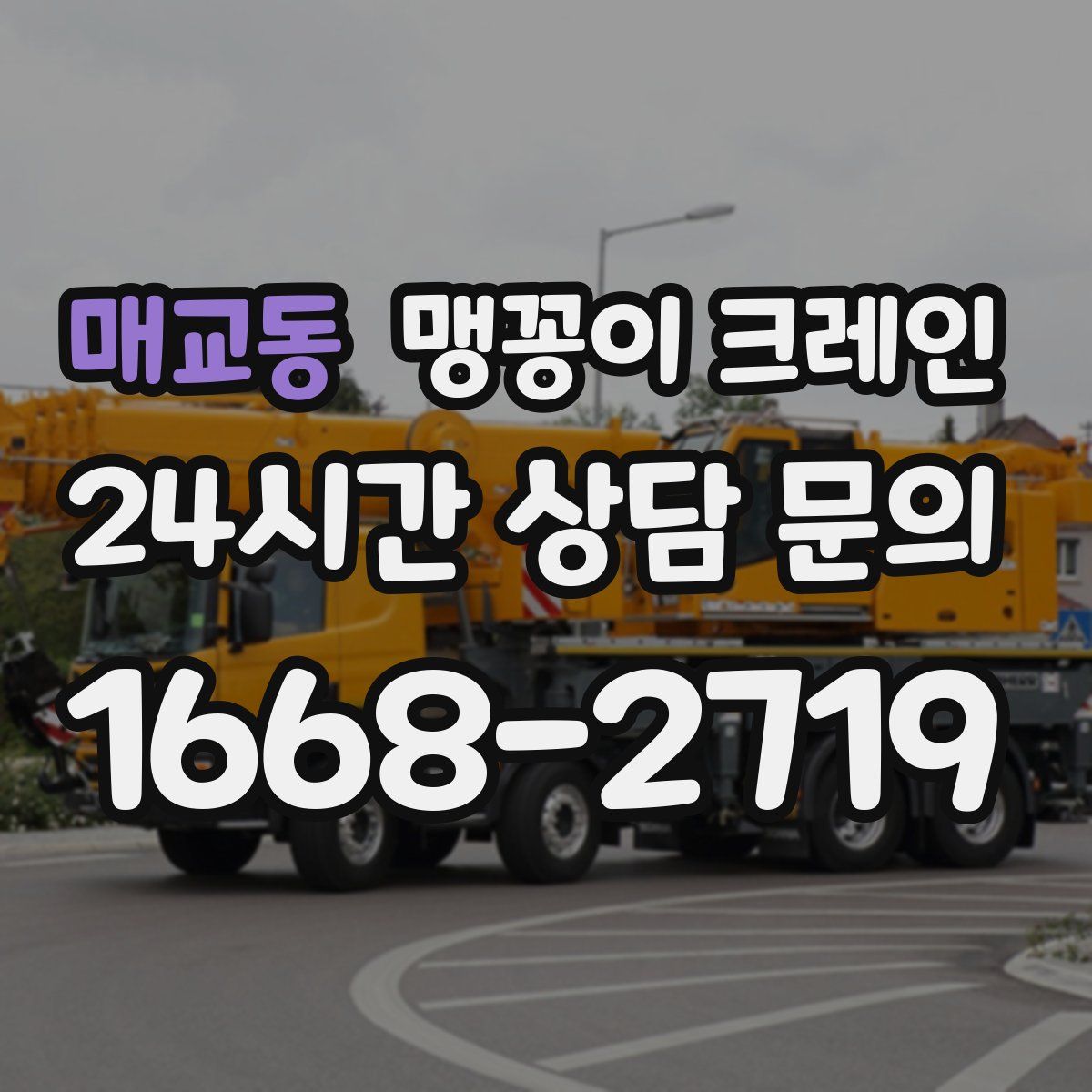 매교동 맹꽁이 크레인