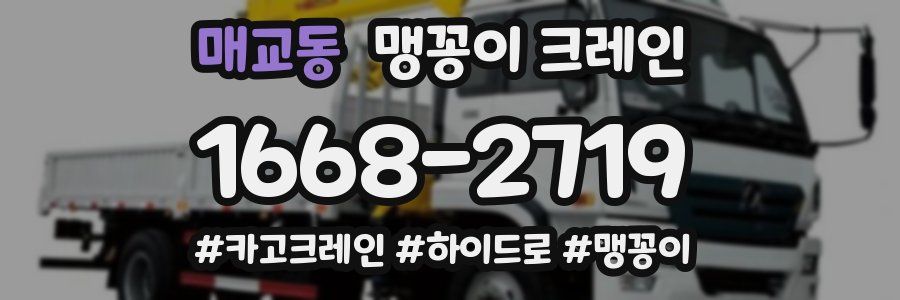 매교동 맹꽁이 크레인