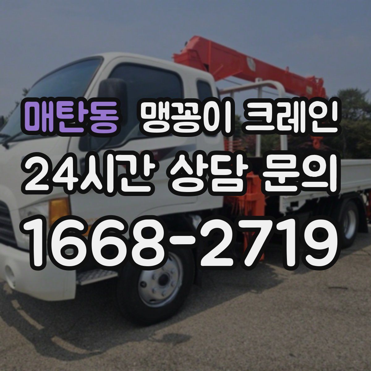 매탄동 맹꽁이 크레인