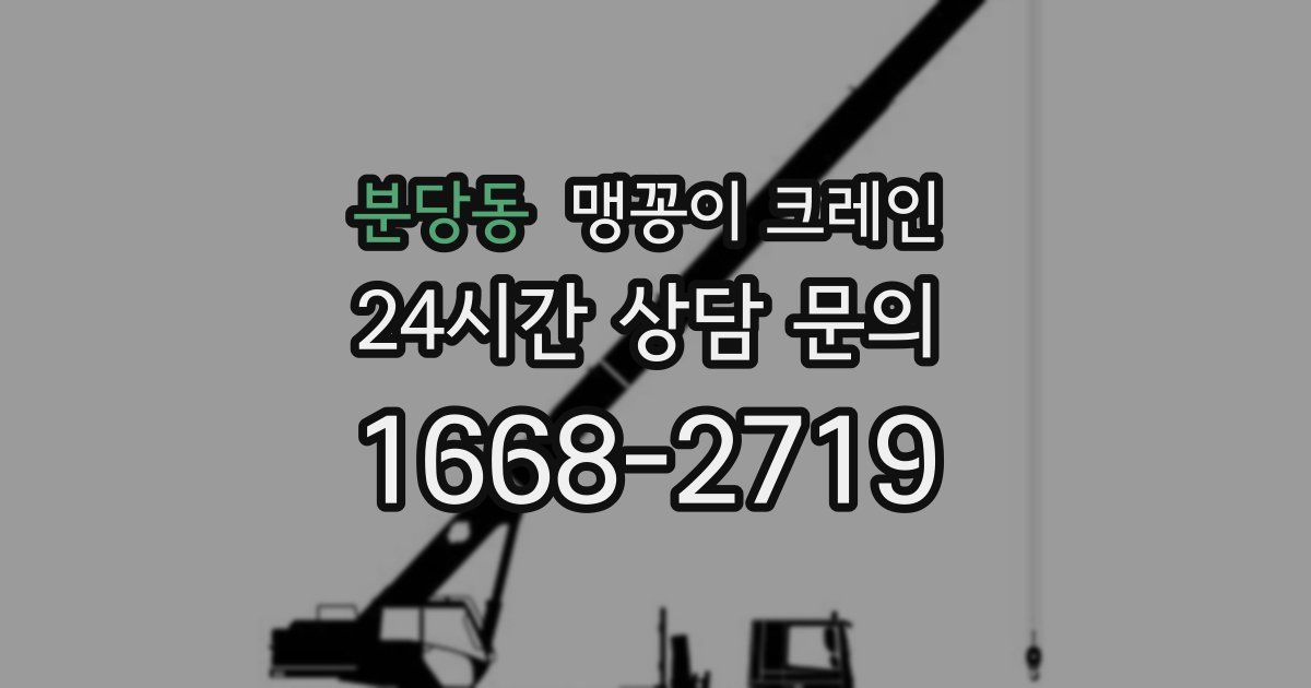 분당동 맹꽁이 크레인
